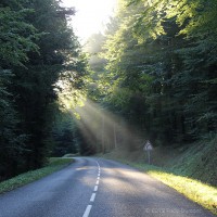 /album/galerie-de-photos-galerie-photos/frida-dumont-img-4243-jpg1/